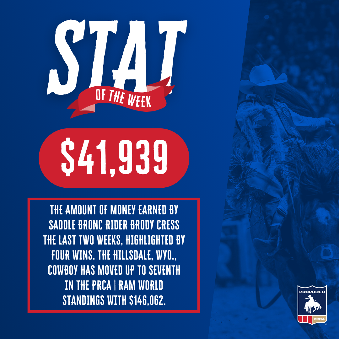 PRCA Rodeo 2025 poster depicting cowboy and horse in action